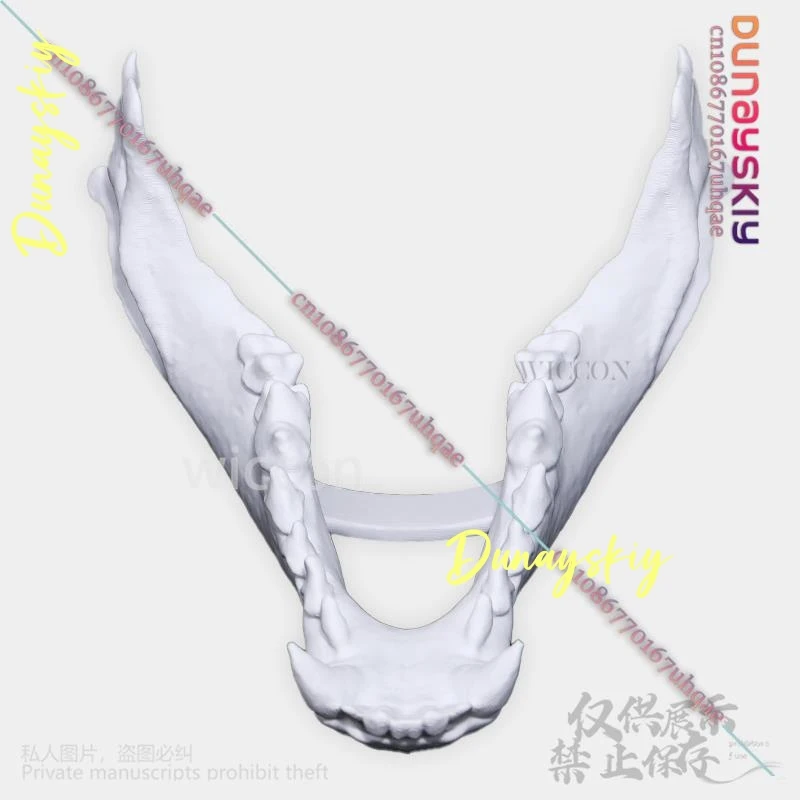 Cosplay Costumes Animal Furry Dog Skull Kigurumi