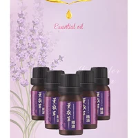 Compound Essential Oil Artemisia Argyi Essential OilS Clean Pores And Blackheads Cleansing Relieves Fatigue Moisturizing Essence 2