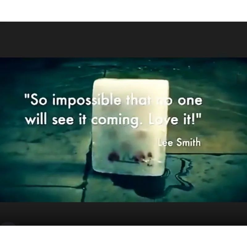 리맥스드 아이솔레이션 마술 트릭 재미있는 무대 마술 서명된 카드가 얼음으로 ..