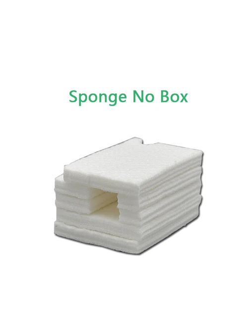 sponge-no-box