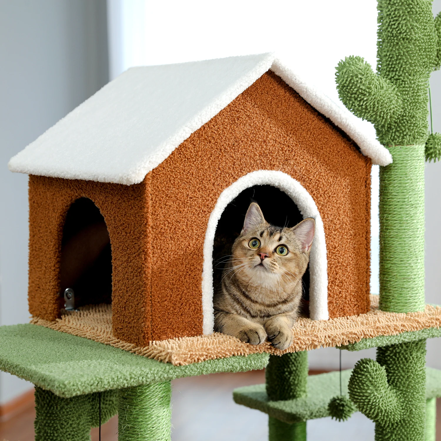 Sac0aa6c35bed4022929ed9340dca4052L