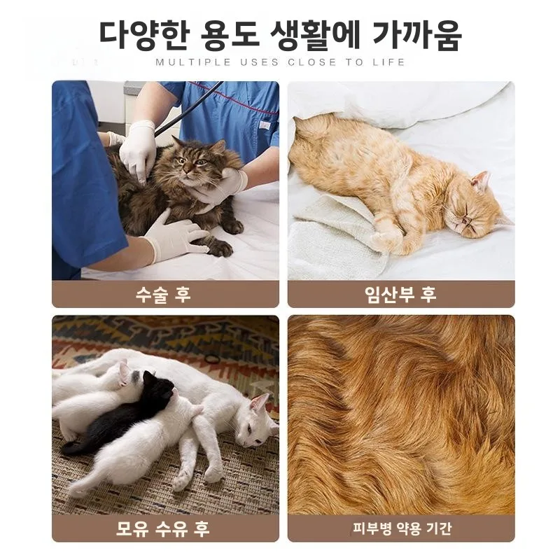 애완동물 의류 고양이 수술 회복 편안하고 통기성 좋은 강아지 비숑 생리학적 바지 우유치 예방 항균