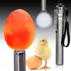 LED Super Cold Light Incubator Eggtester Egg Candling Lamp Equipment Stainless Steel Flashlight Poultry Incubation Chicken Duck 1