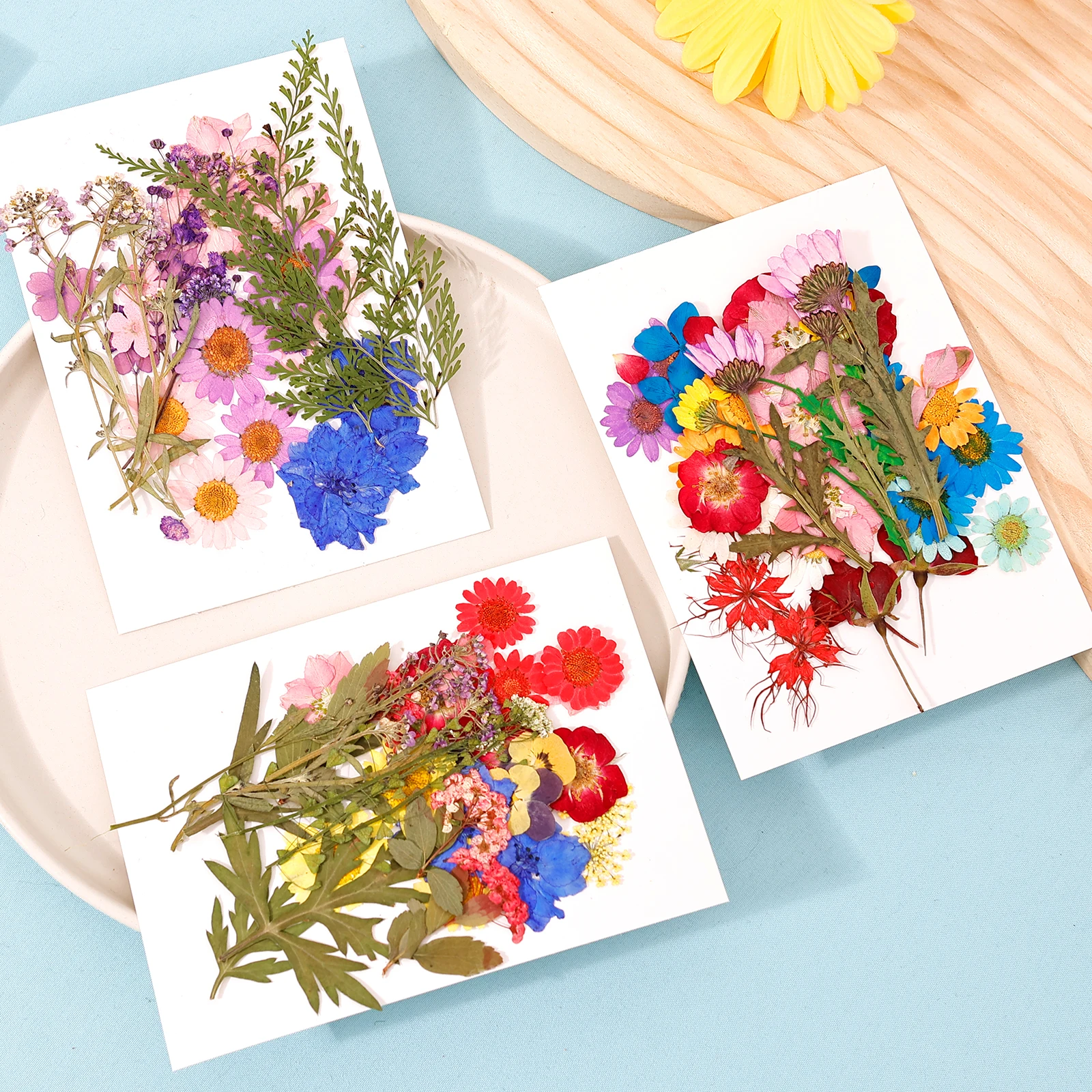Getrocknete Blumen DIY gepresste Blumen Aufkleber 104/96/94pcs echte natürliche drückende Blumen blätter für DIY machen Kunst dekoration nach Hause – Detail 6