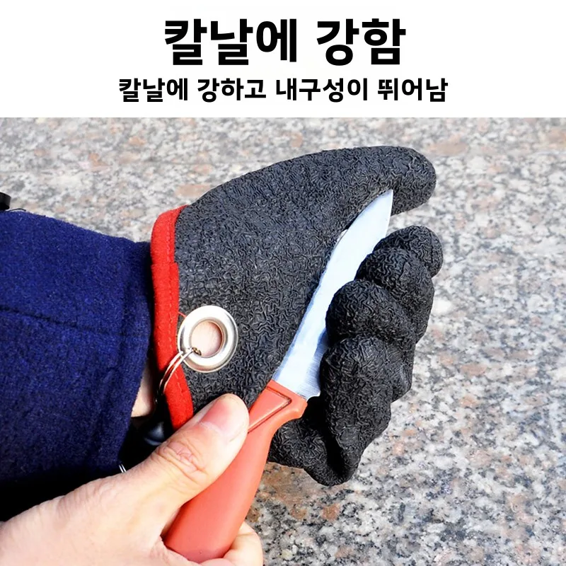  尩    Ƽ     ߿ ķ  Ư  ΰŸ 尩