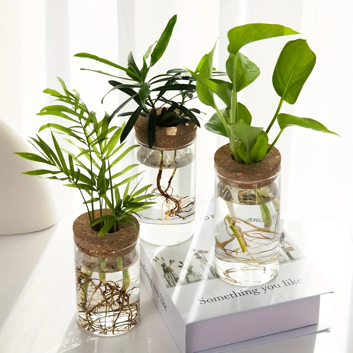 Description Picture 2 of itemMini Glass Vase Hydroponics Plants Desktop for Home Decoration Plant Propagation Station Bud Vase Desktop Hydroponics
