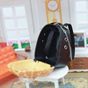 Doll House Decoration Accessories Mini Cat Model Pet Space Bag Doll House Accessories 5