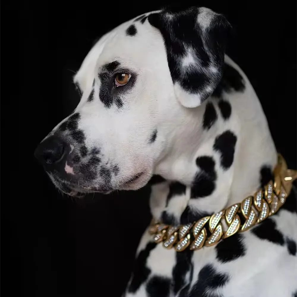 Luxury Diamond 32MM Stainless Steel Gold Chain Necklace for Dog Luxury Dog Collar Large Gold Chain Dog Supplies