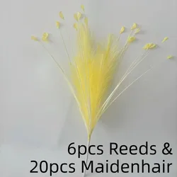Vibrant Festival Decoration Pampas Grass Arrangement (Style 3 Yellow)