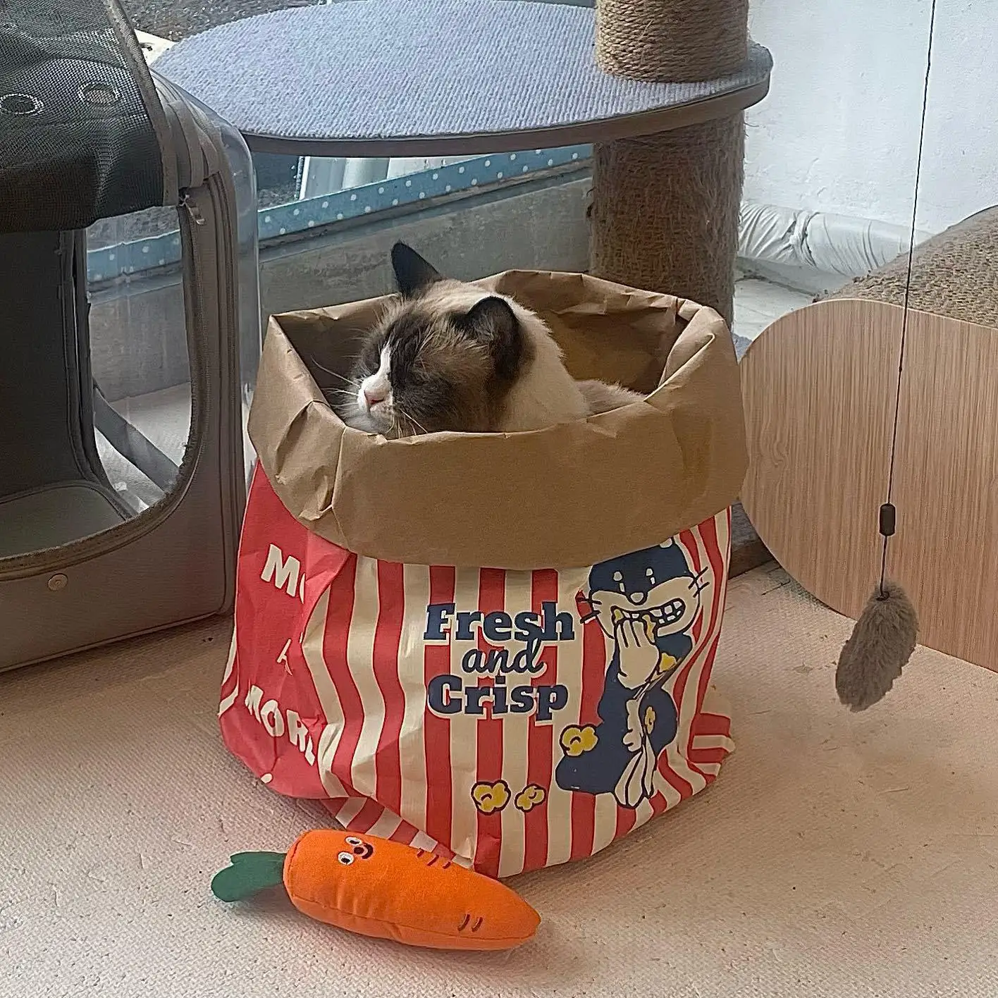 Tunnel Bag for Pets, Play Tube, Kitty Training, Interactive Playing Fun  Toy, Dangling Mouse, Crinkle Sounds, Tunnel with Ball - AliExpress