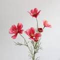 Light Red