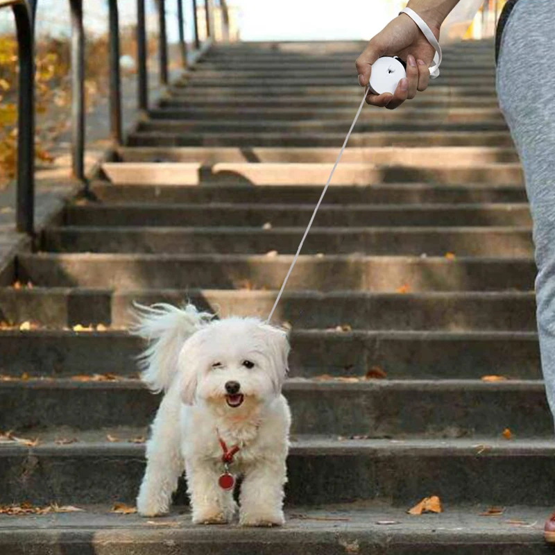 2M Retractable Pet Leash 4