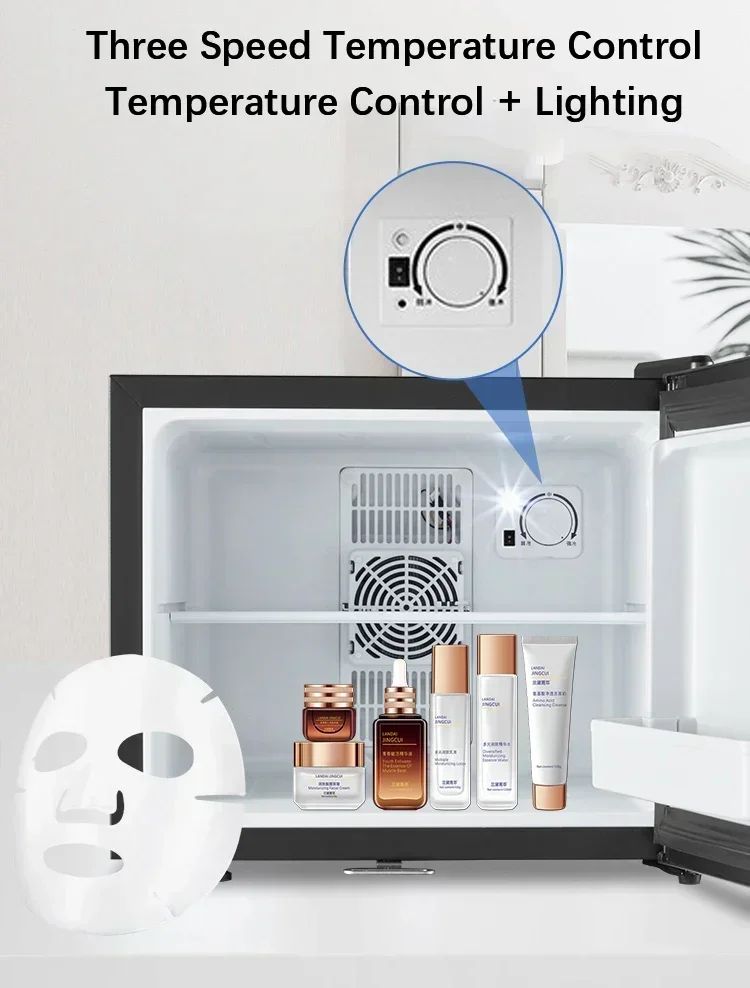 20 30 40 Litre Black Silent Three-Position Temperature Adjustment Small Refrigerator Hotel Mini Fridge