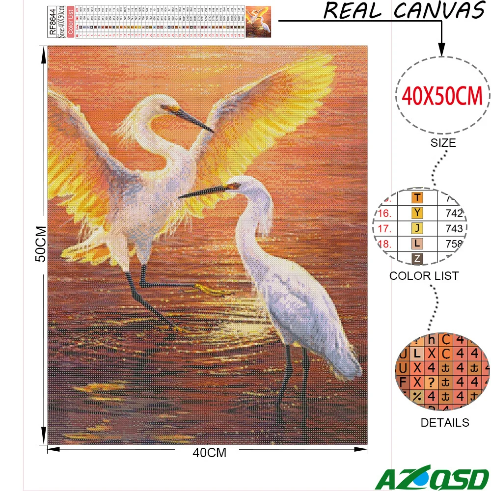 56.jpg_.webp 56.jpg_.webp