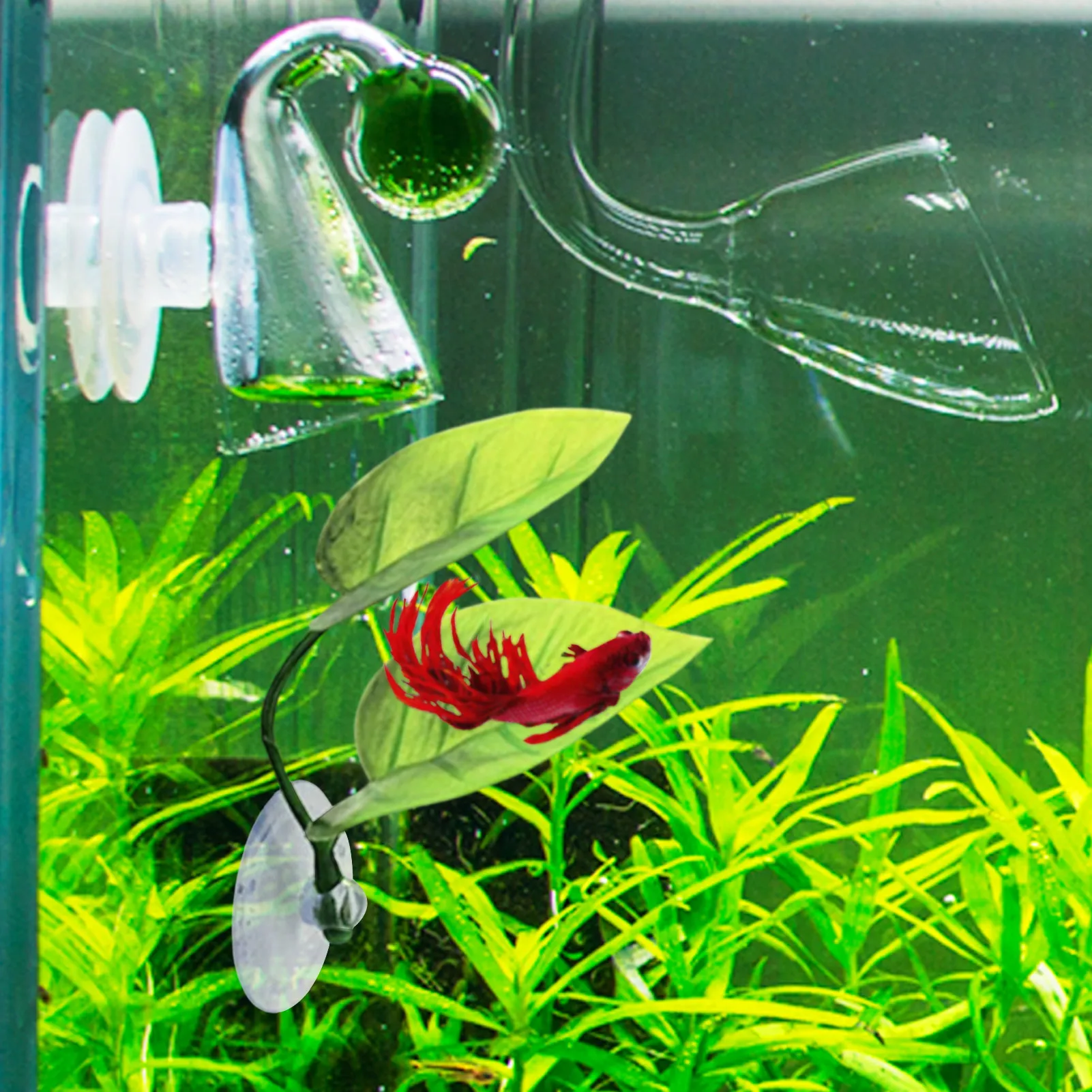 Betta Bed Leaf Hammock Aquarium Pet Supplies Decoration Grounds Breeding Resting Bed For Betta Fish Fish Practical