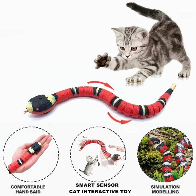 Interactive Smart Sensing Snake Teaser para gatos, brinquedos automáticos  para gatos, carregamento USB, acessórios para animais, jogos, 1 pc, 2pcs -  AliExpress