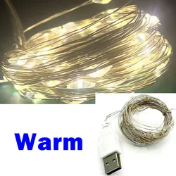 Enchanting USB LED String Lights with Copper Silver Wire - Waterproof Fairy Lights - 1m-By USB (Warm White)