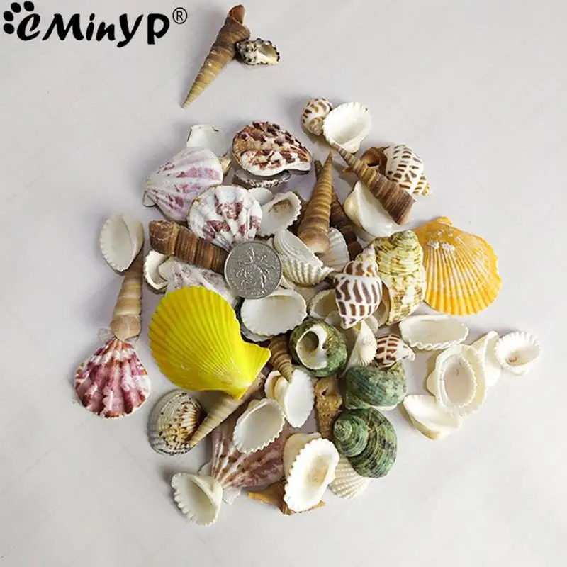 100g/bag Natural Mini Conch Mediterranean Mixed Real Small Sea Shells Nautical Ornaments for Fish Tank Aquarium Decoration