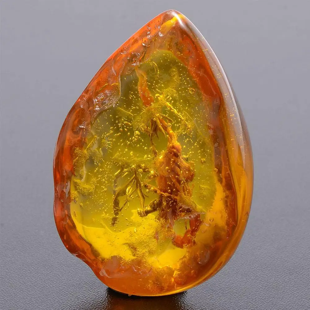 Insect Stone Natural Scorpions Inclusion Amber Baltic Stone DIY Home Decorative Wedding Pendant Party Necklace Gift V6P4