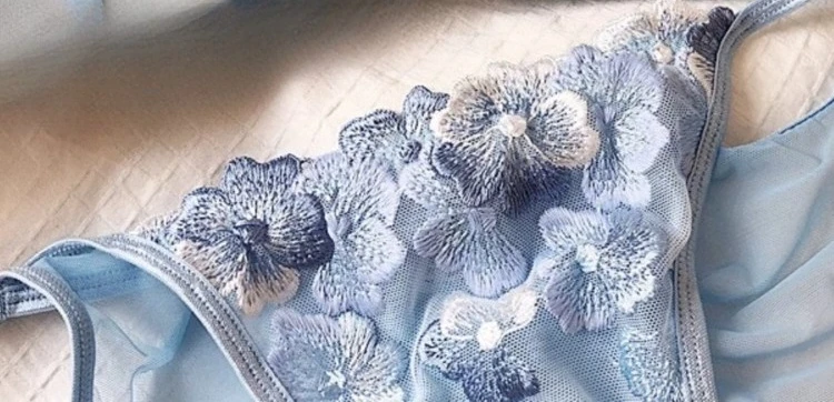 French Niche Design Lingerie Embroidered Mesh Non Wired Triangle Cup Retro Lace Bralette Thin Comfortable Bra UK Tushy MOYISU