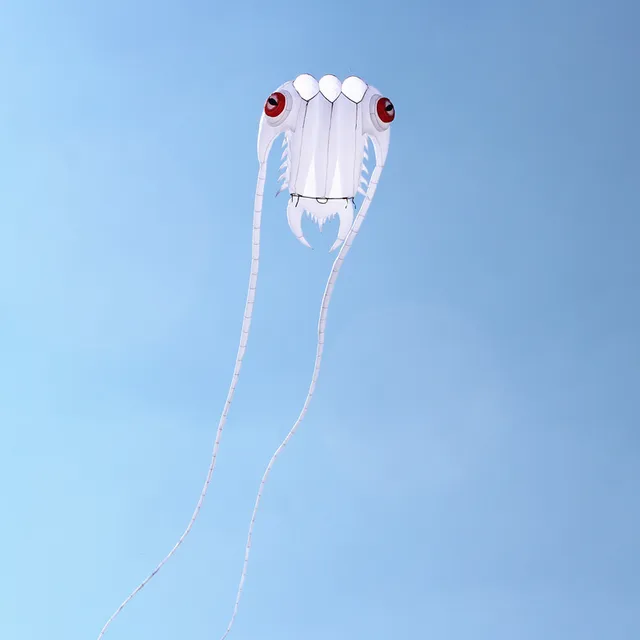 free shipping led trilobites kite for adults kite string line windsurfing papalote outdoor toys sport professional kite koi carp 5