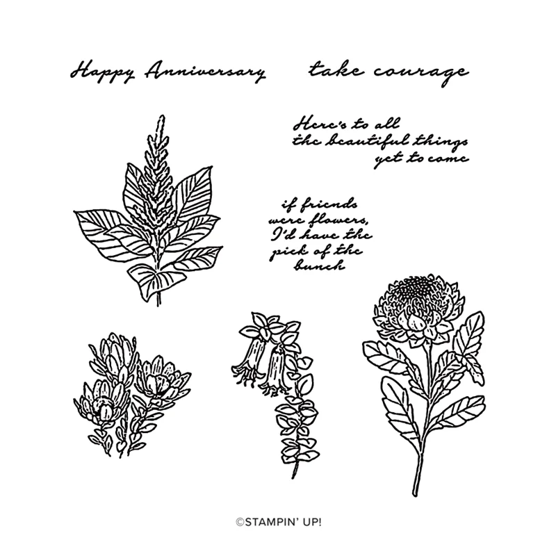 

Bouquet Beautiful Things 2023-2024 Annual Catalog Cutting Dies Clear Stamp Scrapbooking Frame Card Craft