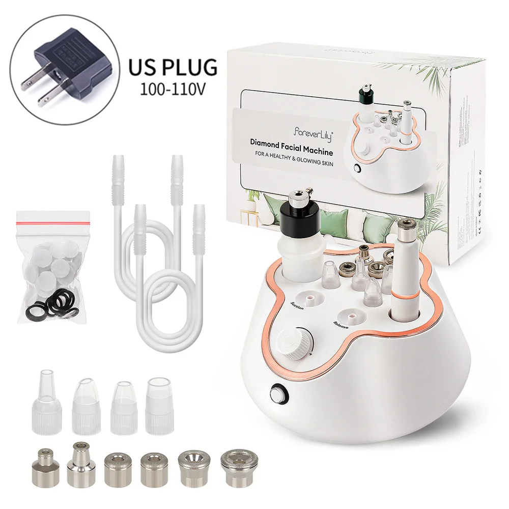 US PLUG (100-110V)