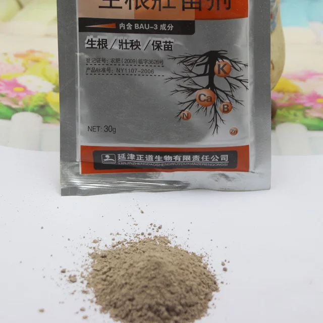 10Db Gyors Gyökerezés A Növényi Por Megtermékenyítésében - Image 3