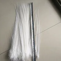 50pcs Natural White Heron Feathers 6-8 inches 1