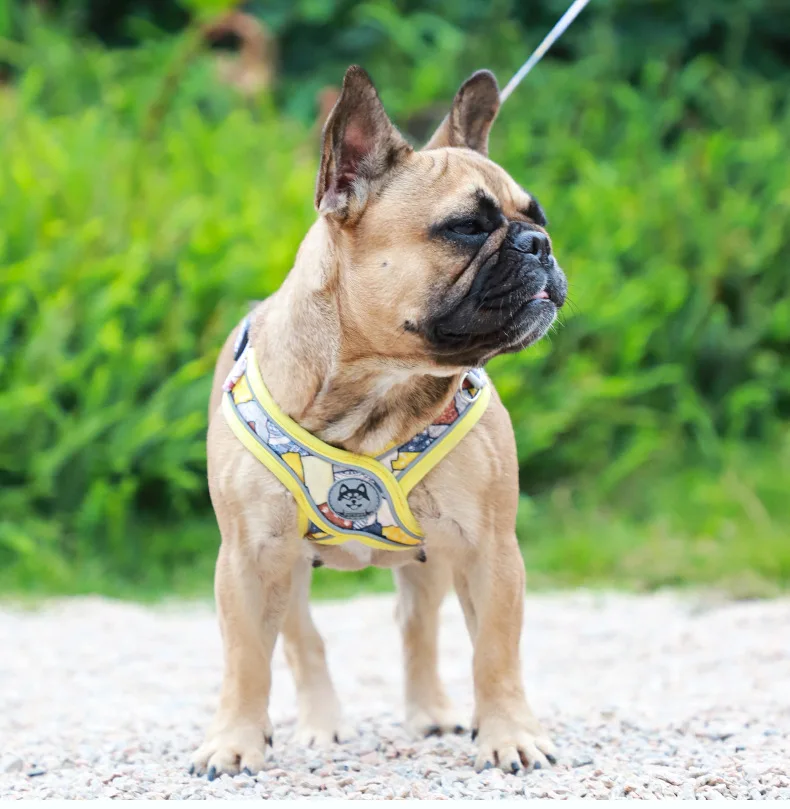 Harnais Chien Petit - Taille S - Réglable Et Doux Avec Poignée Jaune