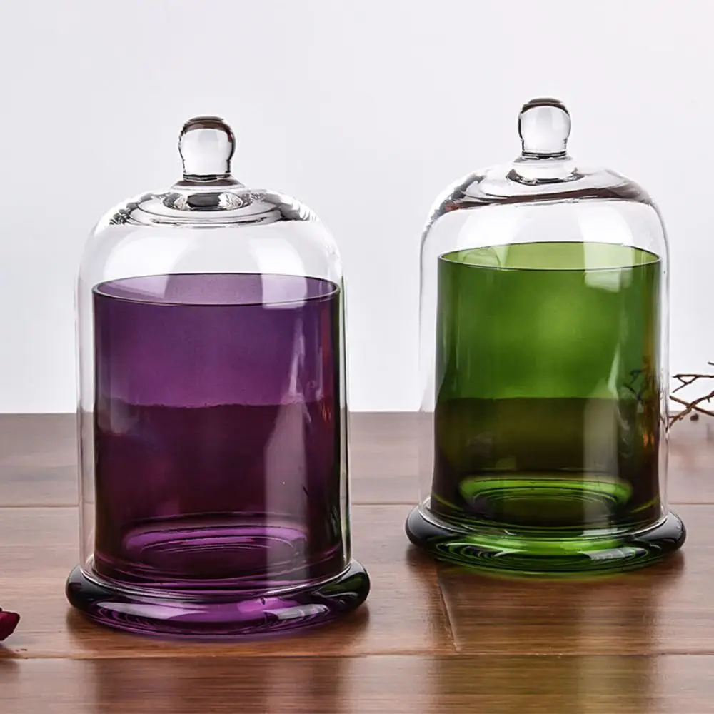 Glass Glass Storage Jar 8 Colors Eternal Life Flower Aromatherapy Candle Cover Food Plant Display Candle Jar
