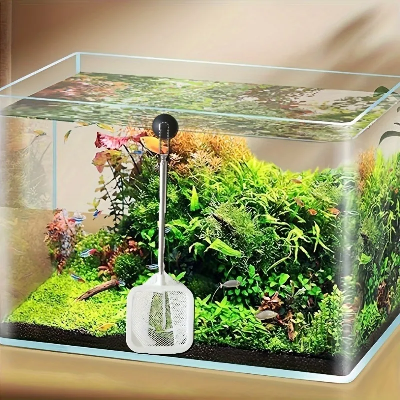 Fishing Landing Net Extendable Telescopic Fish Shrimp Skimming Net Stainless Steel Handle Fish for Aquarium Tank