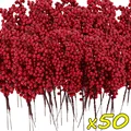 50 Branches