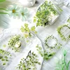 2m/Roll Spring Garden Country Style Trees and Grass PET Tape For DIY Sticker Scrapbooking Journal Collage Material 2