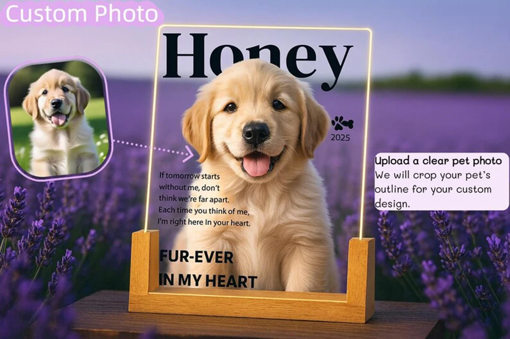 Benutzerdefinierte personalisierte Haustier Memorial LED Acryl Licht Hund Katze Foto Nachtlampe graviert mit Namen Termine Zitat sentimentale Sympathie – Detail 1