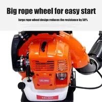 Leaf Blower EBZ9900 Air-Cooled Two-Stroke Backpack Gasoline Blower 75.6cc Snow Blower Powerful Garden Tools 2