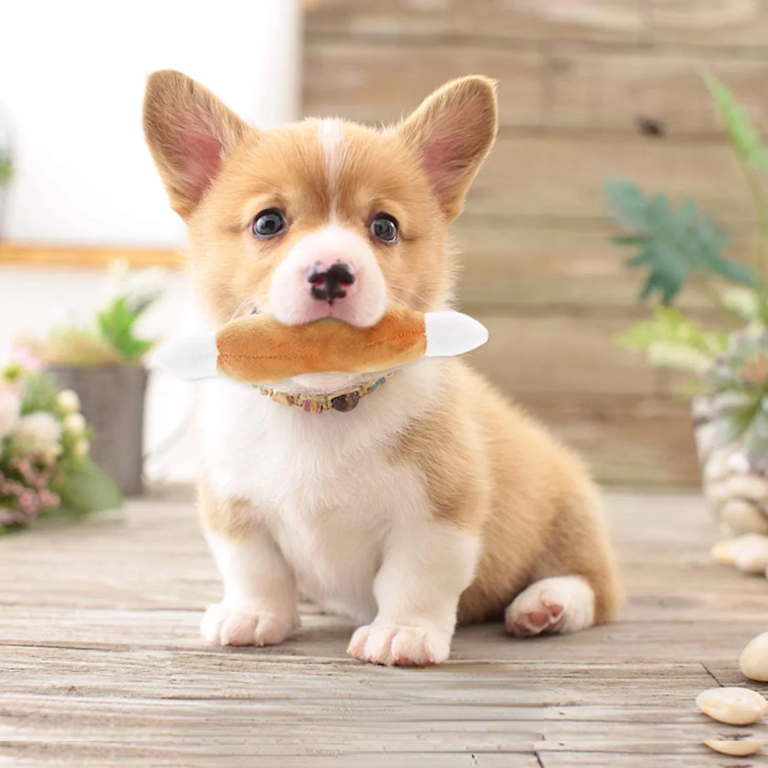 Slide image df48f069fd8d4a05a653f150645ddd44