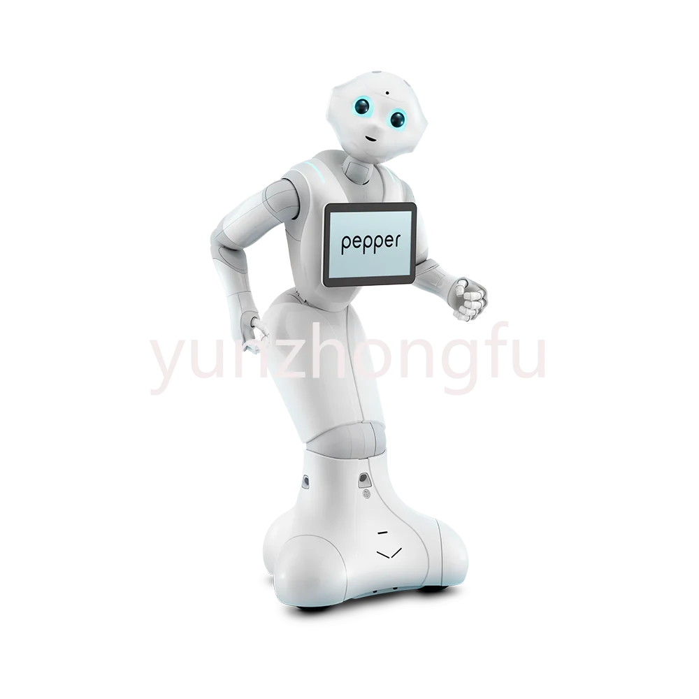 Robotics Japanese Humanoid Programmable Apply Smart Robot Artificial Intelligence Open for Colleges