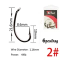 Carp01 S-2