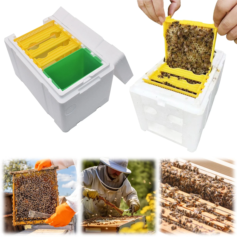Queen Bee Box Rearing Mating Beehive Beekeeping Tools Foam Beehives Nuc Harvest Pollination BeesHive Box Beekeeper Suppliers beekeeping tools bee breeding box