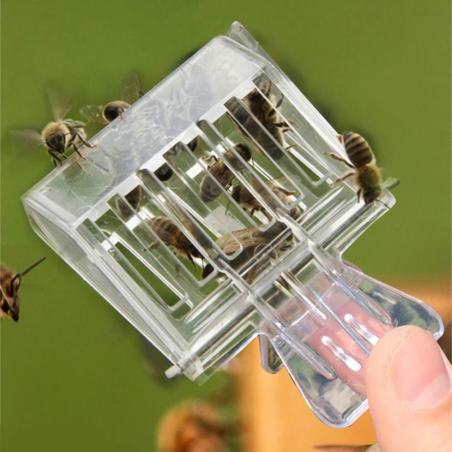 Queen Bee Catcher Ketrec Méhészek Rofesszionális Méhész Eszköz Műanyag Átlátszó Méhcsapda Clip Professzionális Méhészeti