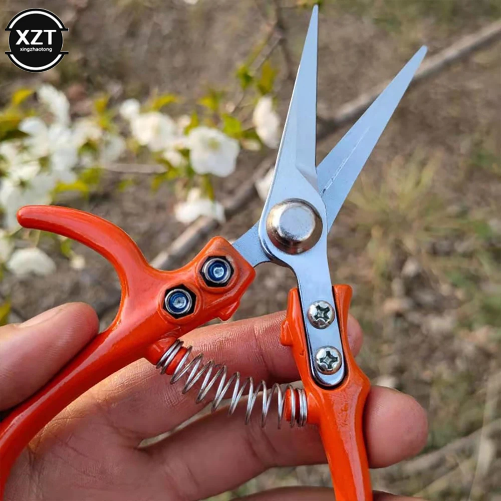 

Multi-function Garden Scissors Manual Safety Buckle Labor-saving Stainless Steel Spring Gardening Pruning Shear Plant Cutter