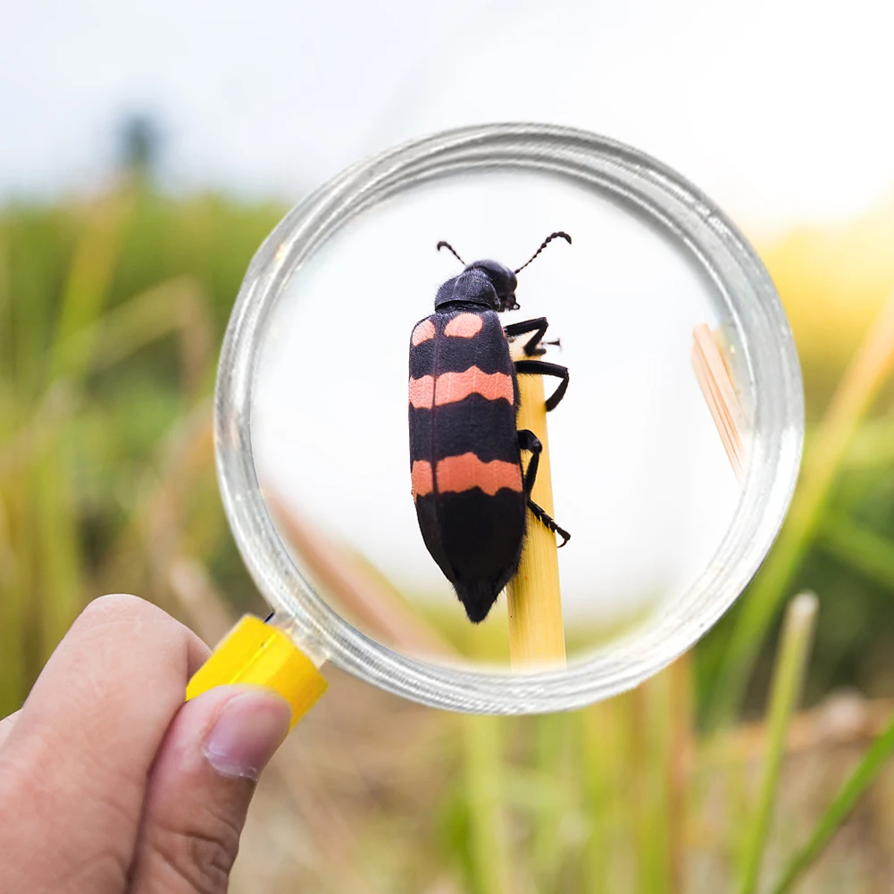 15pcs Magnifying Glasses For Children