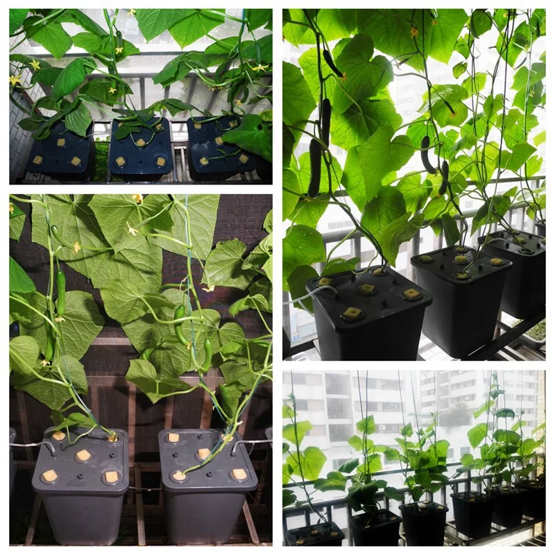 DIY Home Soilless Cultivation Equipment Balcony Vegetable Hydroponic Bucket Cucumber Tomato Plant Growth Hydroponic System hydroponic gardening kit hydroponic planting tools