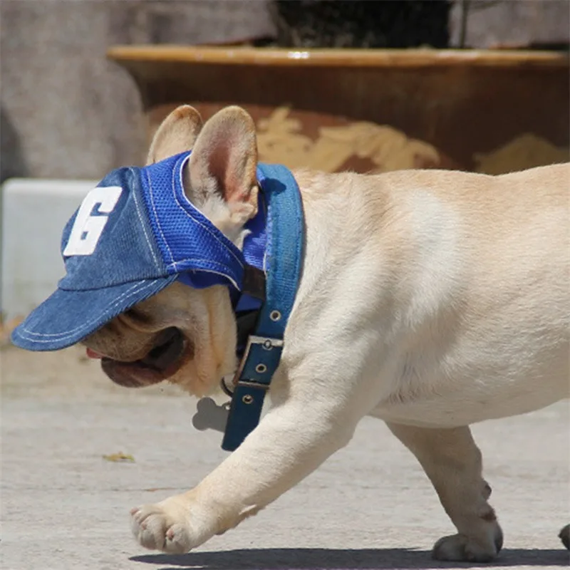 Dog Sunscreen Baseball Hat 3