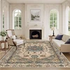 Luxury Persian Carpets for Living Room Decoration Home Large Size Rugs Non-slip Sofa Coffee Tables Mats 200x300 Bedroom Rug 1