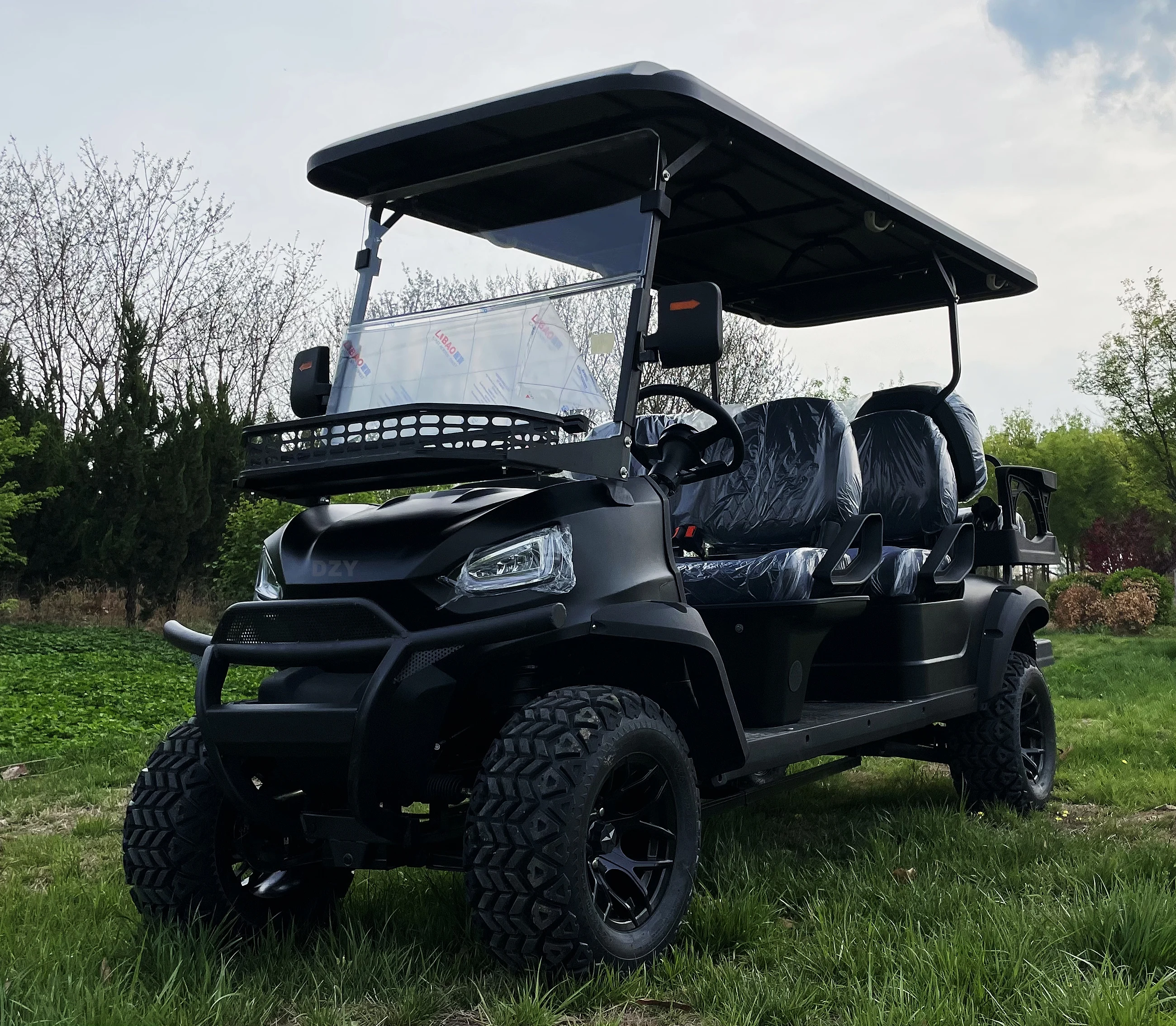 Direct of New Design Manufacturers Single Seat Electric Golf Cart for Household Travel