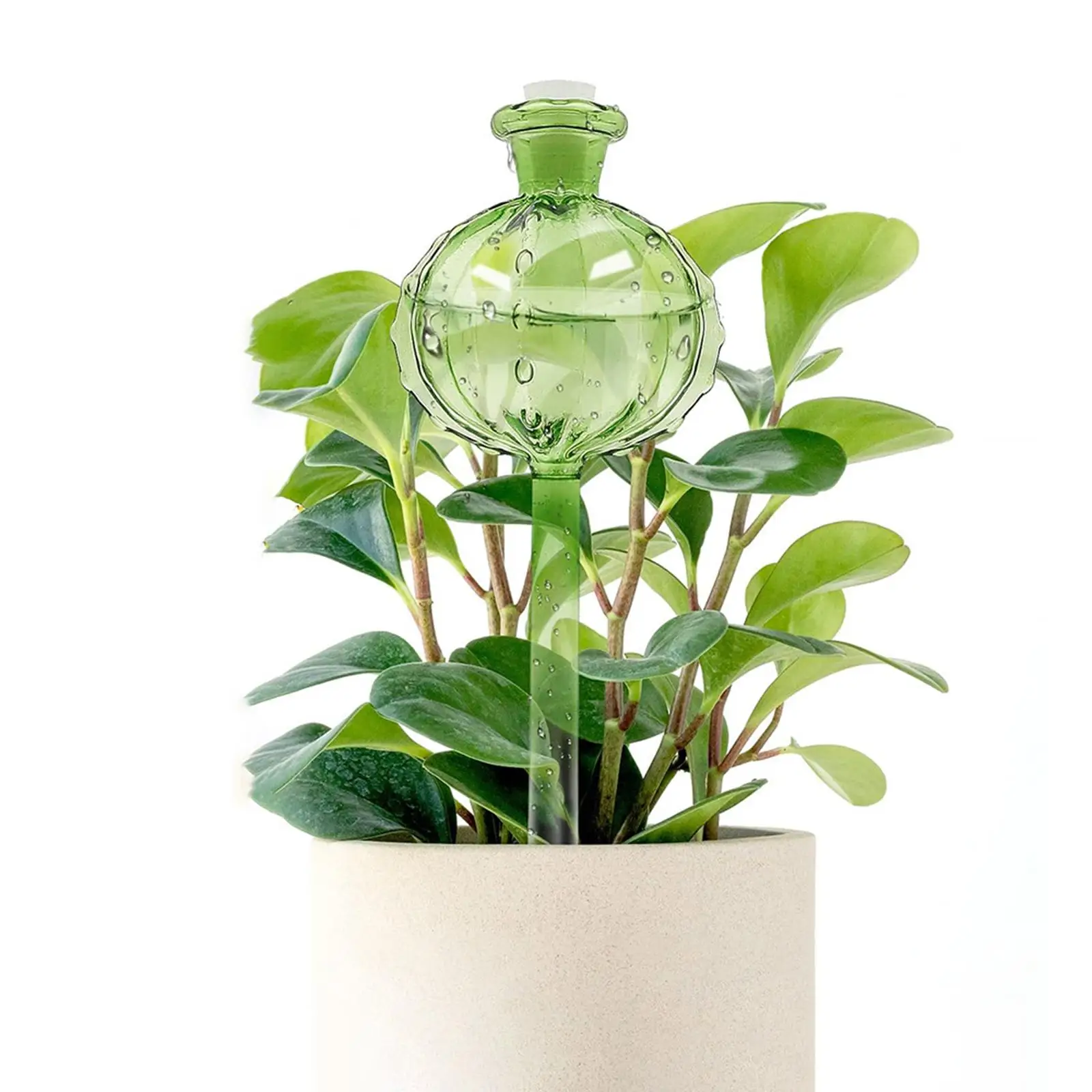 

Plant Watering Globes Decorative Glass Plant Watering Devices Garden Water Device for Accessories Indoor and Outdoor Plants