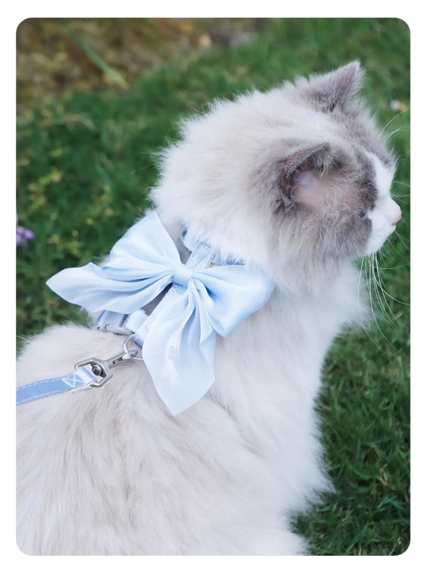 Cat Harness And Leash Set With Bow, Adjustable Escape Proof Vest_voghion.com