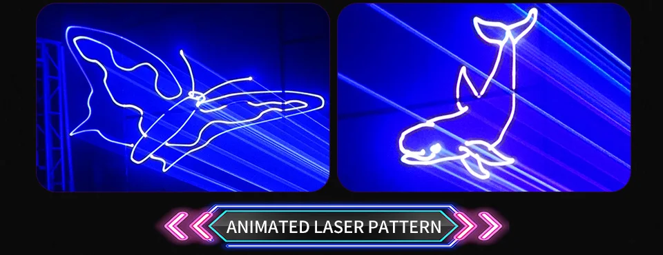 2-6W Stage Animation Scanner Dj Disco Laser Light ILDA Animation Laser Light RGB